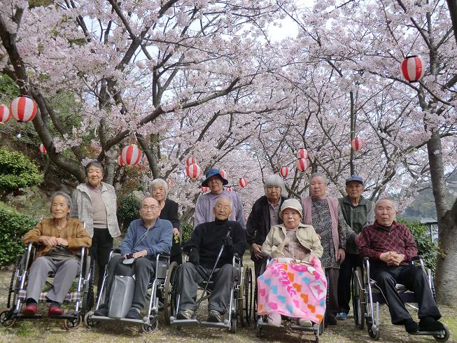 H25.4.3　桜吹雪②